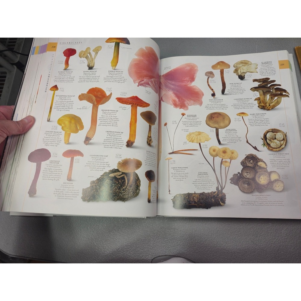 Smithsonian Natural History The Ultimate Visual Guide Everything on Earth DKBook - Picture 5 of 12
